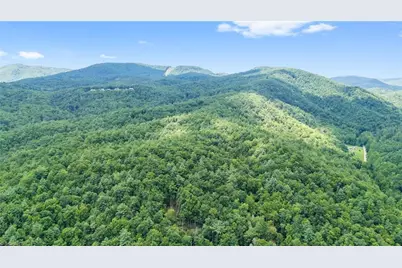 00 Clear Branch Drive, Millers Creek, NC 28651 - Photo 4