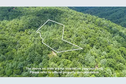 00 Clear Branch Drive, Millers Creek, NC 28651 - Photo 1