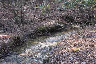 468 Sylvan Rd, Thurmond, NC 28683 - Photo 10