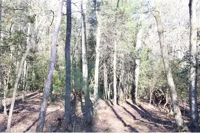 468 Sylvan Road, Thurmond, NC 28683 - Photo 12