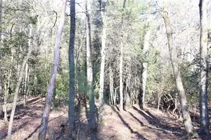 468 Sylvan Rd, Thurmond, NC 28683 - Photo 12