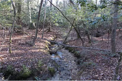 468 Sylvan Road, Thurmond, NC 28683 - Photo 4