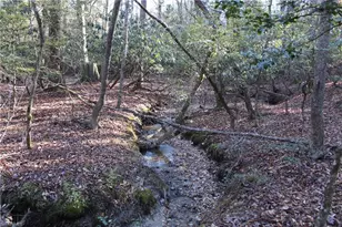 468 Sylvan Rd, Thurmond, NC 28683 - Photo 4