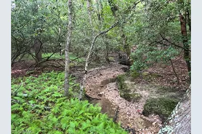 468 Sylvan Road, Thurmond, NC 28683 - Photo 2