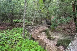 468 Sylvan Rd, Thurmond, NC 28683 - Photo 2