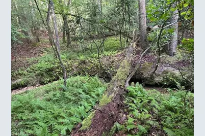 468 Sylvan Road, Thurmond, NC 28683 - Photo 8