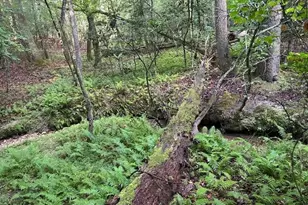 468 Sylvan Rd, Thurmond, NC 28683 - Photo 8