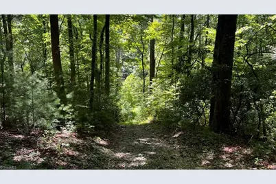 7360 Timber Rock Drive, Lenoir, NC 28645 - Photo 18