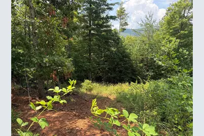 Tbd Lazy Bear Lane, Purlear, NC 28665 - Photo 24