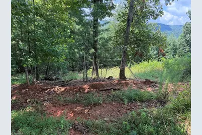 Tbd Lazy Bear Lane, Purlear, NC 28665 - Photo 26