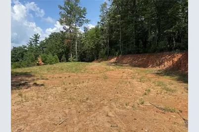 Tbd Lazy Bear Lane, Purlear, NC 28665 - Photo 10