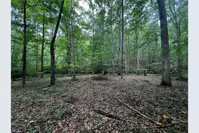 1392 Mission Road, Danbury, NC 27016 - Photo 12