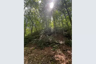 1392 Mission Road, Danbury, NC 27016 - Photo 10