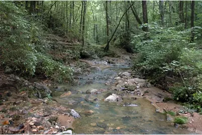 1392 Mission Road, Danbury, NC 27016 - Photo 6