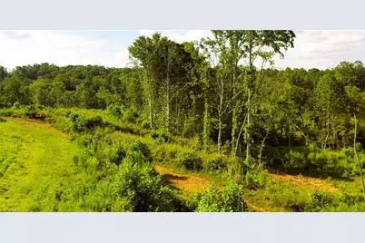 Lot 7 Thayer Road, Trinity, NC 27370 - Photo 14