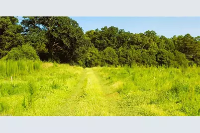 Lot 7 Thayer Road, Trinity, NC 27370 - Photo 30