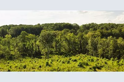 Lot 7 Thayer Road, Trinity, NC 27370 - Photo 28