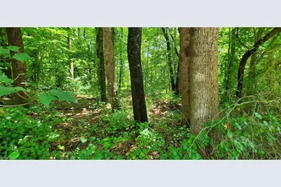 3939 US Highway 64 W, Mocksville, NC 27028 - Photo 2