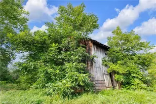 Tract A 1874 Thayer Rd, Trinity, NC 27370 - Photo 14