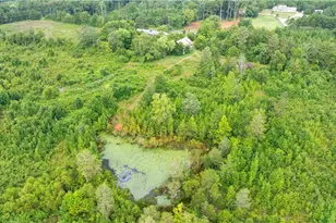 Tract A 1874 Thayer Rd, Trinity, NC 27370 - Photo 4