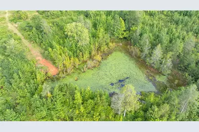 Tract A, 1874 Thayer Road, Trinity, NC 27370 - Photo 8