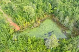 Tract A 1874 Thayer Rd, Trinity, NC 27370 - Photo 8