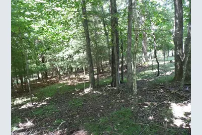 Tbd Hickory View Drive, Sparta, NC 28675 - Photo 8