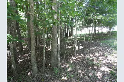 Tbd Hickory View Drive, Sparta, NC 28675 - Photo 6