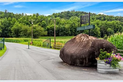 197 Fairview Drive, Traphill, NC 28685 - Photo 50