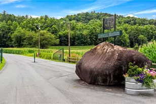 197 Fairview Dr, Traphill, NC 28685 - Photo 50