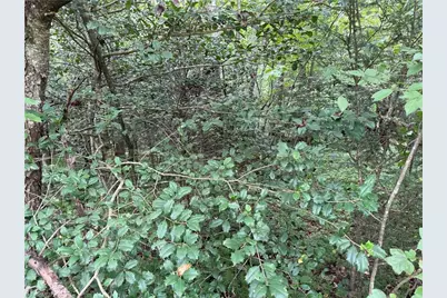 Lot 23 Zinzendorf Lane, Moravian Falls, NC 28654 - Photo 16