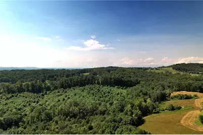 0 Chestnut Ridge Road, Pilot Mountain, NC 27041 - Photo 6