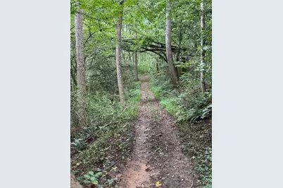 Lot 25 Zinzendorf Lane, Moravian Falls, NC 28654 - Photo 12