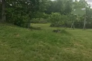 1710 Freeway Dr., Reidsville, NC 27320 - Photo 12