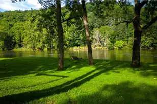 2161 River Bend Rd, Mouth of Wilson, VA 24363 - Photo 46