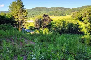 10298 Nc Hwy 18 S, Laurel Springs, NC 28644 - Photo 2