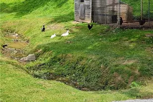 10298 Nc Hwy 18 S, Laurel Springs, NC 28644 - Photo 10