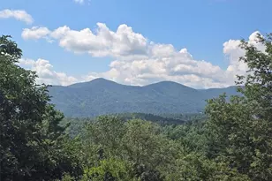 979 Wagon Rd, Warrensville, NC 28693 - Photo 2