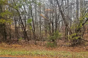 2145 Jefferson Oaks Dr, Rural Hall, NC 27045 - Photo 1