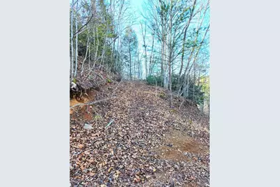 Tbd Eagle Hills Road #Eagle Hills, Purlear, NC 28665 - Photo 16