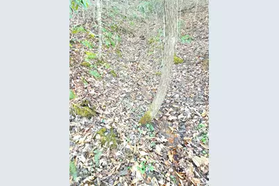 Tbd Eagle Hills Road #Eagle Hills, Purlear, NC 28665 - Photo 14