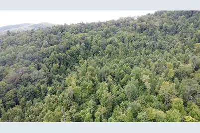 Tbd Eagle Hills Road #Eagle Hills, Purlear, NC 28665 - Photo 4