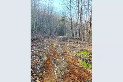 Tbd Eagle Hills Road #Eagle Hills, Purlear, NC 28665 - Photo 10