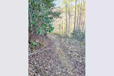 Tbd Eagle Hills Road #Eagle Hills, Purlear, NC 28665 - Photo 6