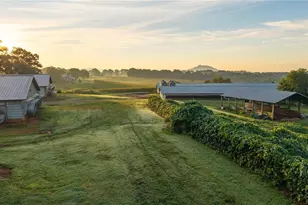 167 Buck Hollow Trail, Ararat, NC 27007 - Photo 14