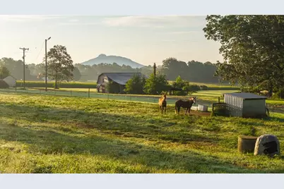 167 Buck Hollow Trail, Ararat, NC 27007 - Photo 36