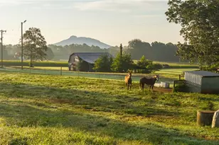 167 Buck Hollow Trail, Ararat, NC 27007 - Photo 36