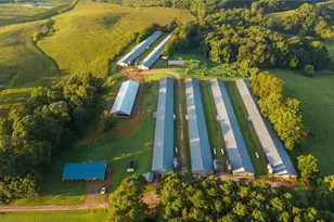 167 Buck Hollow Trail, Ararat, NC 27007 - Photo 30