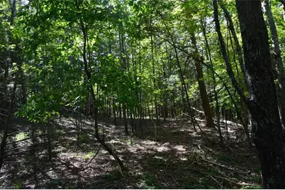 01 Hanging Rock Forest Road #Tract D (14ac), Danbury, NC 27016 - Photo 8