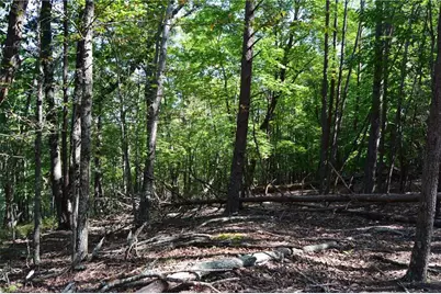 01 Hanging Rock Forest Road #Tract D (14ac), Danbury, NC 27016 - Photo 12